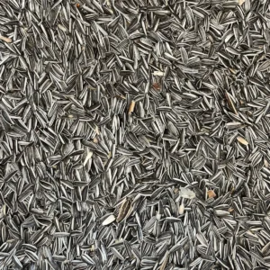 Alaca Çekirdek